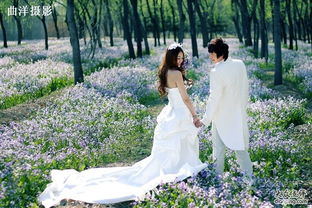 中式婚紗攝影的開創者——曲洋攝影，傳承經典之美